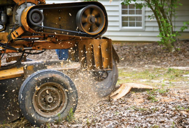 stump grinding union nj